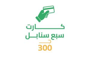 كارت سبع سنابل 300