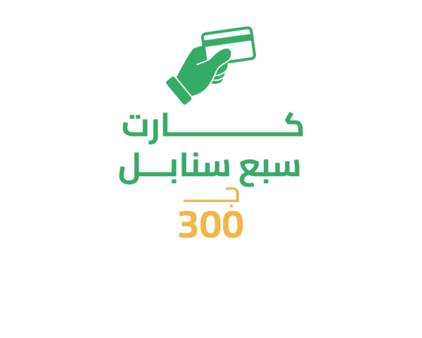 كارت سبع سنابل 300